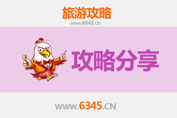 常德桃源旅游攻略：跟团与自由行全方位对比